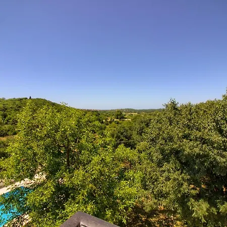 Taki With Private Pool Near Rovinj 坎法奈尔